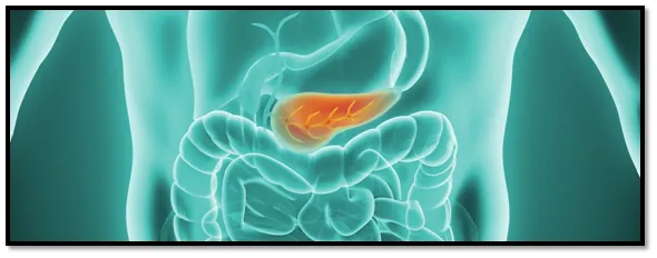 Liver cancer Liver cancer