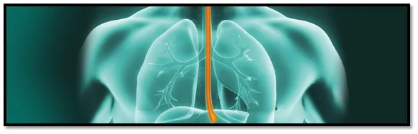 esophageal cancer esophageal cancer