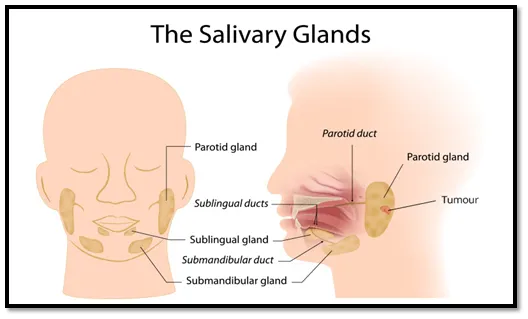 throat cancer3