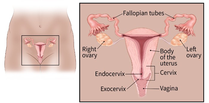 Cervix Cancer Treatment in Pune