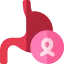 stomach 2