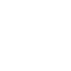 brain